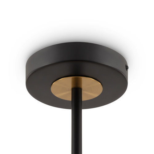 Потолочный светильник Freya FR5370CL-06B фото 2