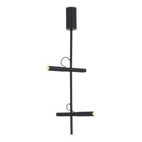 SL6210.403.02 Светильник подвесной ST-Luce Черный/Черный, Золотистый LED 2*3W 3000K LILT фото 8