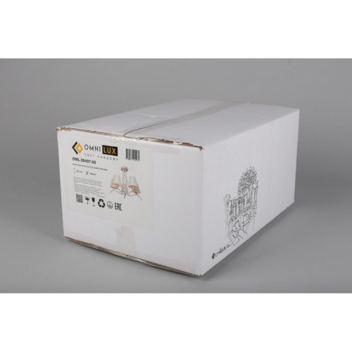 Люстра потолочная OML-28407-05 фото 9 Люстра потолочная OML-28407-05 фото 9