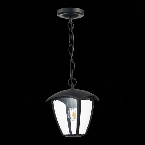 SL081.403.01 Светильник уличный подвесной ST-Luce Черный/Черный, Прозрачный E27 1*40W SIVINO фото 5