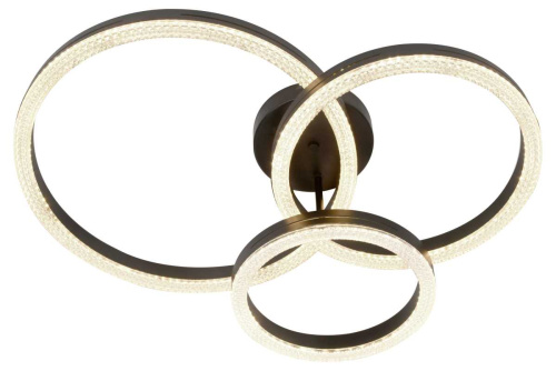 Светильник потолочный светодиодный ЭРА Модерн Bloom CLL-1-110W 3K-6K RC BK с ДУ черный Б0069754 фото 2