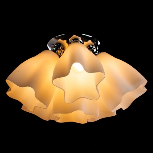 Потолочная люстра Arte Lamp CANZONE A3469PL-6CC фото 2