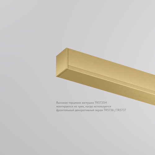TR5735H-SB Торцевая заглушка, высокая, для использования с экраном, для трека Shine, серия Base, комплект 2 шт, сатинированная латунь, алюминий фото 3 TR5735H-SB Торцевая заглушка, высокая, для использования с экраном, для трека Shine, серия Base, комплект 2 шт, сатинированная латунь, алюминий фото 3