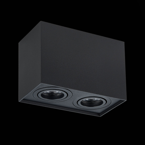 ST109.407.02 Светильник потолочный Черный GU10 2*50W  L181xW100xH123 220V Без ламп Накладные светильники фото 4