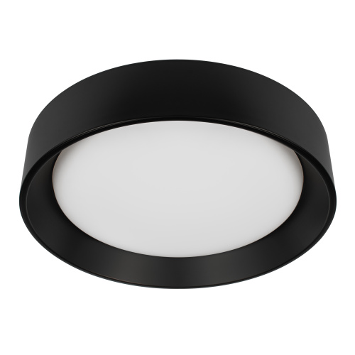 10202 BB  Потолочный светильник  LOFT IT Coin