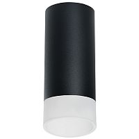 R648781 Светильник RULLO HP16 (216487+202481)