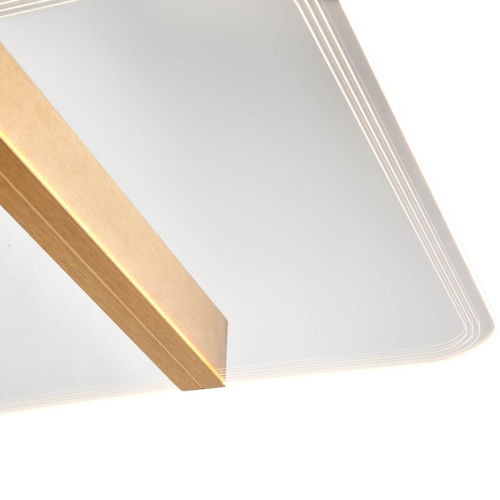 Потолочный светильник Vele Luce Futuro VL7224L21 фото 5