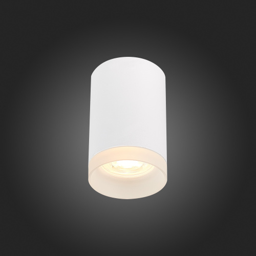 ST100.502.01 Светильник потолочный Белый GU10 1*50W IP20 D64xH99 220V Без ламп Накладные светильники фото 4