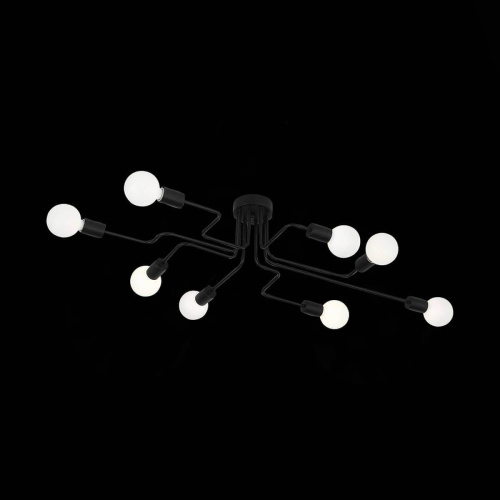 Потолочная люстра Evoluce Ano SL419.442.08 фото 5