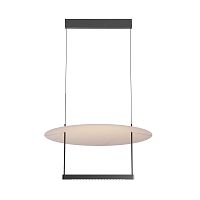 Подвесной светильник Maytoni MOD280PL-L30B3K1