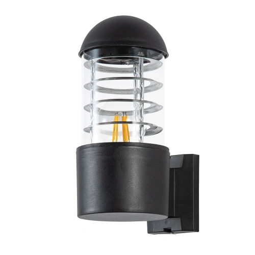 Уличный настенный светильник Arte Lamp COPPIA A5217AL-1BK Уличный настенный светильник Arte Lamp COPPIA A5217AL-1BK