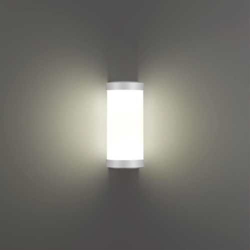 359299 STREET NT24 776 белый Светильник ландшафтный настенный IP65 LED 6W 4000K 180-265V OPAL фото 4 359299 STREET NT24 776 белый Светильник ландшафтный настенный IP65 LED 6W 4000K 180-265V OPAL фото 4