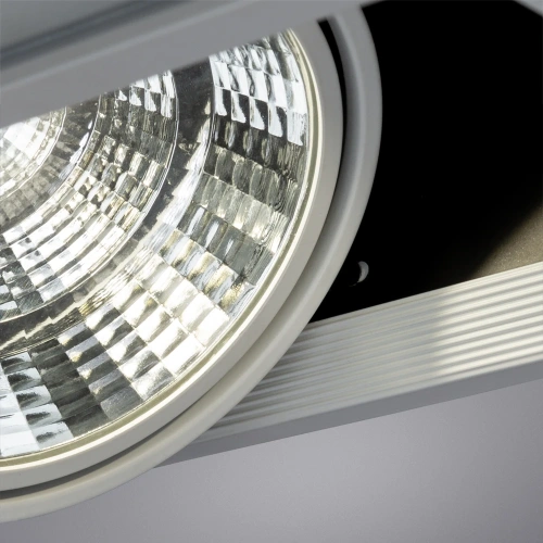 Карданный светильник Arte Lamp MERGA A8450PL-2WH фото 4