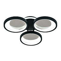 Потолочный светильник 100010/3C LED*79W Black/Wood