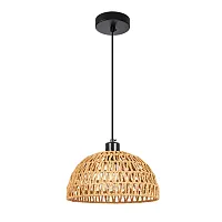 Подвесной светильник Arte Lamp BRUSHWOOD A7086SP-1BK