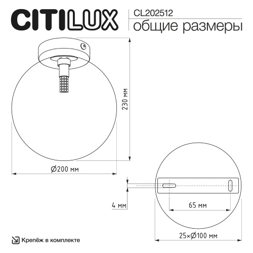 Citilux ORTON CL202512 Светильник Шампань фото 8