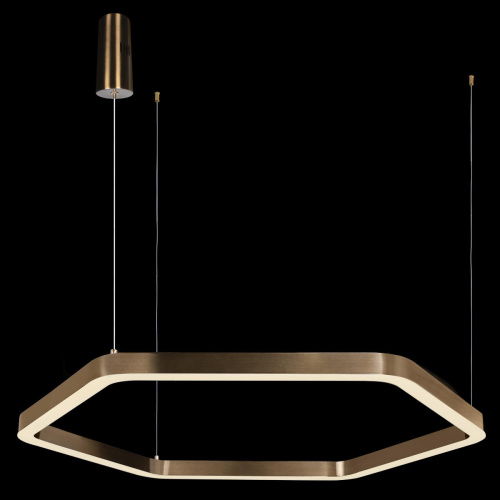 10243L Gold Подвесной светильник LOFT IT Titanium фото 2