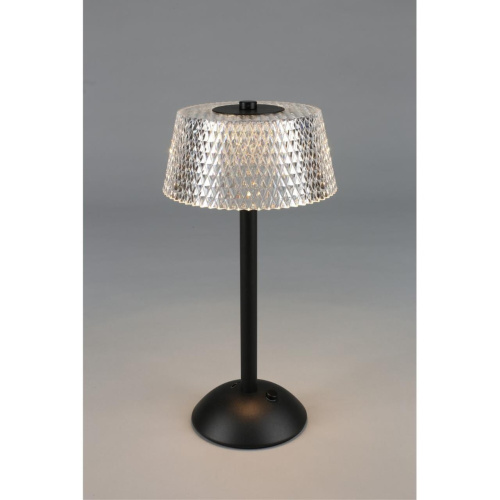 Настольная лампа OML-40104-01 фото 15