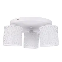 Потолочная люстра Arte Lamp TRAFORATO A8349PL-3WH