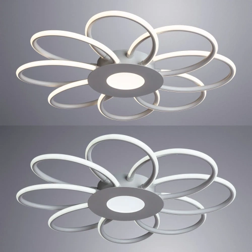 Потолочная люстра Arte Lamp POLLI A2528PL-8WH фото 2 Потолочная люстра Arte Lamp POLLI A2528PL-8WH фото 2