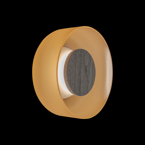 10466W Amber matte wood Настенный светильник LOFT IT Totem фото 2