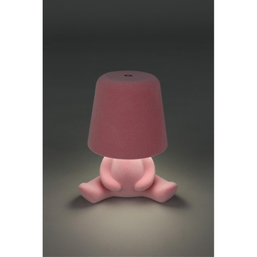 Настольная лампа APL.677.14.01 фото 10