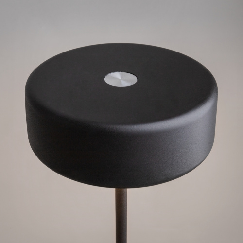 Аккумуляторный светильник Maytoni MOD229TL-L3B3K2 фото 12