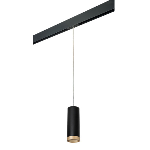 PRORP48740 Светильник д/1-фазн трека RULLO HP16 (214487+595857+203440) PRORP48740 Светильник д/1-фазн трека RULLO HP16 (214487+595857+203440)