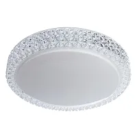 Потолочный светильник Arte Lamp CELESTE A1569PL-1CL