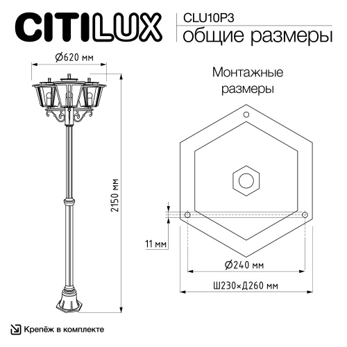 Citilux FORTS CLU10P3 Уличный парковый светильник фото 12 Citilux FORTS CLU10P3 Уличный парковый светильник фото 12