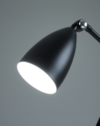 Лампа настольная Moderli V10998-T Show фото 2