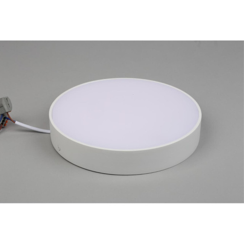 Светильник настенно-потолочный APL.0113.09.24 фото 6 Светильник настенно-потолочный APL.0113.09.24 фото 6