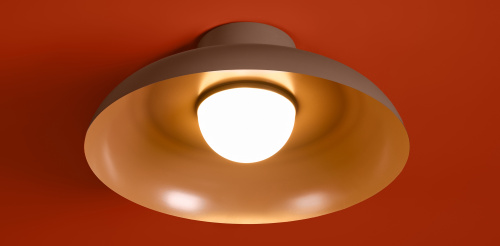 Потолочный светильник Freya FR5602CL-L10BR фото 10 Потолочный светильник Freya FR5602CL-L10BR фото 10