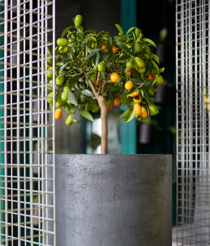 Кашпо TOPPER NERO фото 6 Кашпо TOPPER NERO фото 6