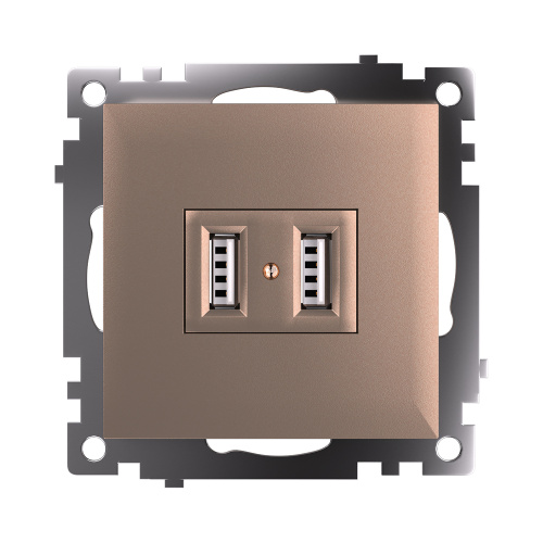 Розетка USB 2-местная (механизм), STEKKER GLS10-7115-02, 250B, 2,1A, серия Катрин, шампань фото 3