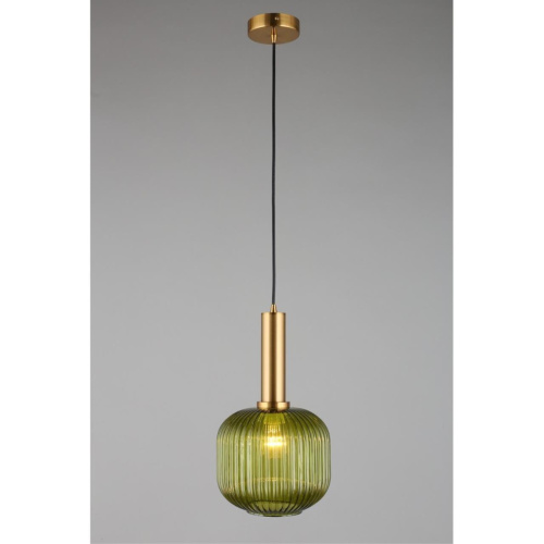 Светильник подвесной OML-99436-01 фото 4 Светильник подвесной OML-99436-01 фото 4