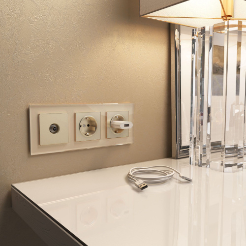 Рамка из стекла на 3 поста Favorit шампань W0031111 фото 3