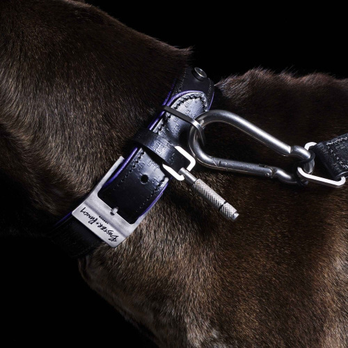 Поводок Dog Lead Steel фото 4