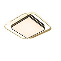 Потолочный светодиодный светильник Arte Lamp Albireo A2658PL-58GO