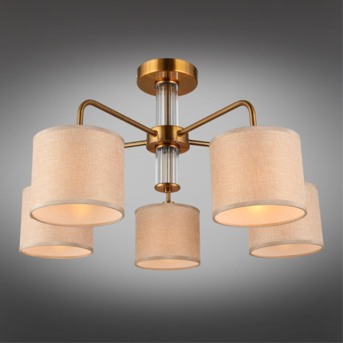 Люстра потолочная OML-56907-05 фото 9 Люстра потолочная OML-56907-05 фото 9