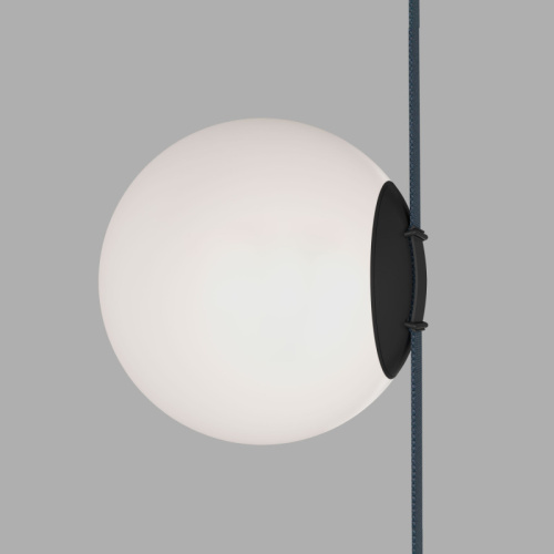 Светильник на шине Denkirs BELTY ORB | БЕЛТИ ОРБ DK5552-BK фото 2 Светильник на шине Denkirs BELTY ORB | БЕЛТИ ОРБ DK5552-BK фото 2