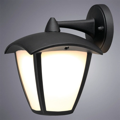 Уличный настенный светильник Arte Lamp SAVANNA A2209AL-1BK фото 2