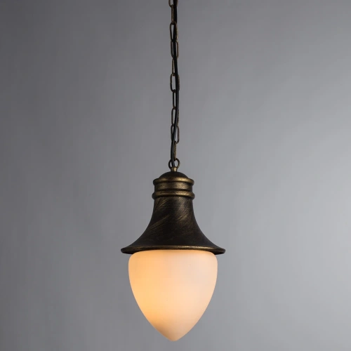 Уличный подвесной светильник Arte Lamp VIENNA A1317SO-1BN фото 2 Уличный подвесной светильник Arte Lamp VIENNA A1317SO-1BN фото 2