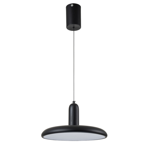 Подвесной светильник Escada 10230/1 LED*18W Black фото 2 Подвесной светильник Escada 10230/1 LED*18W Black фото 2