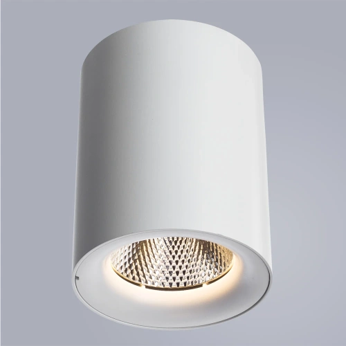 Точечный накладной светильник Arte Lamp FACILE A5118PL-1WH фото 2