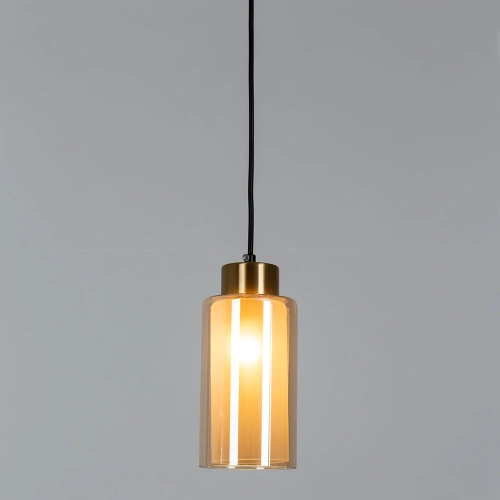 Подвесной светильник Arte Lamp LEO A7027SP-1BK фото 2