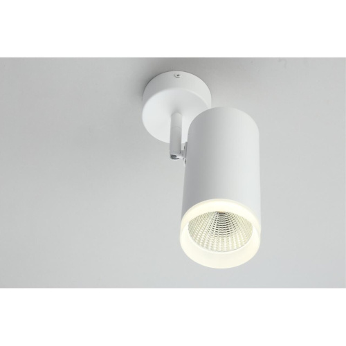 Светильник настенно-потолочный OML-102609-20 фото 6 Светильник настенно-потолочный OML-102609-20 фото 6