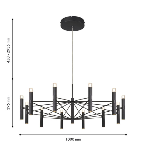 Подвесная светодиодная люстра Favourite Blick 4758-12P фото 2