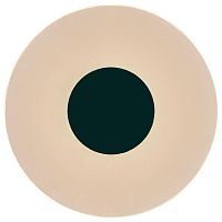 Настенный светодиодный светильник Mantra Venus 8013