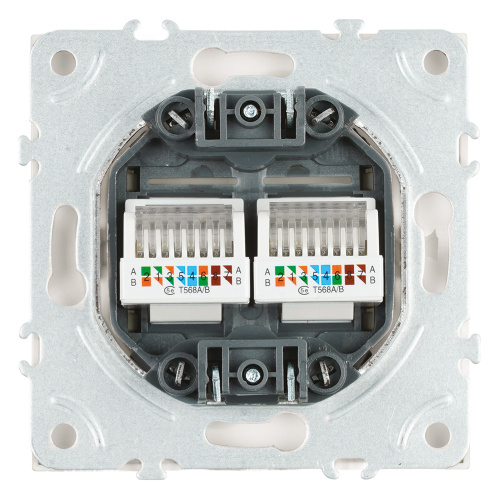 Розетка компьютерная 2-местная RJ-45 (механизм), STEKKER,  серия Эмили, RST00-5111-01, белый фарфор, soft touch фото 2